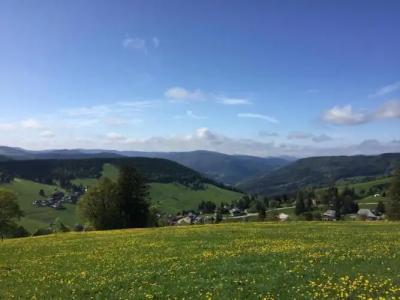 Pension Glöcklehof - 24