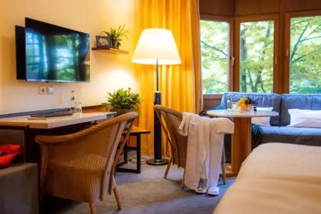 LandAm Rothenberg - 62