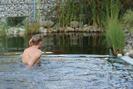 LandAm Rothenberg - 31