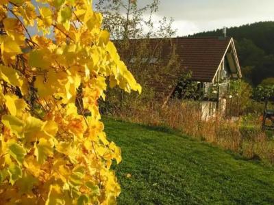 LandAm Rothenberg - 102