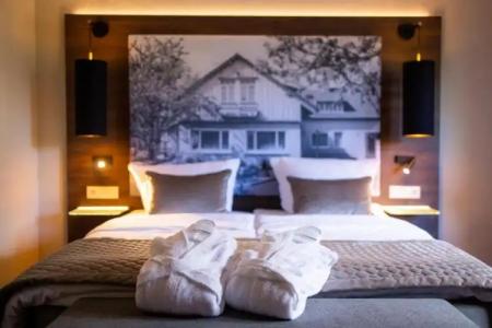 LandAm Rothenberg - 75