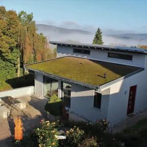 LandAm Rothenberg - 148