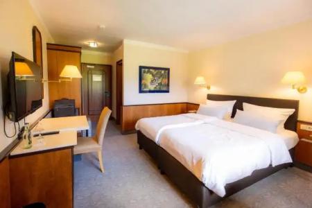 LandAm Rothenberg - 46