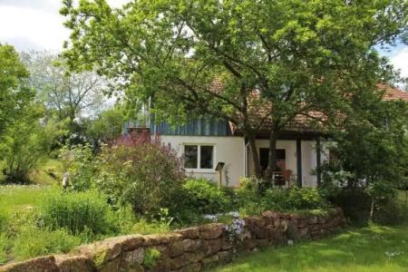 LandAm Rothenberg - 117