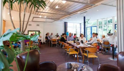 LandAm Rothenberg - 35