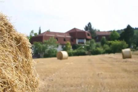 LandAm Rothenberg - 66