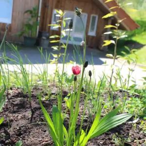 LandAm Rothenberg - 119