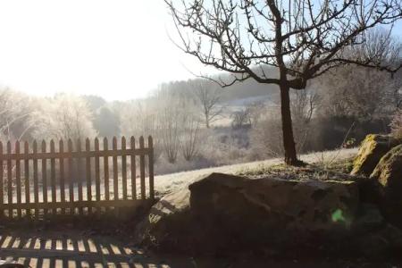 LandAm Rothenberg - 126