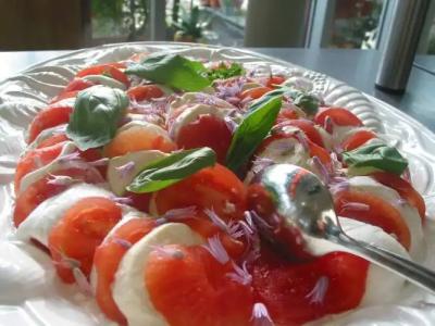 LandAm Rothenberg - 12