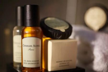 Alizé Grenelle Tour Eiffel - 43