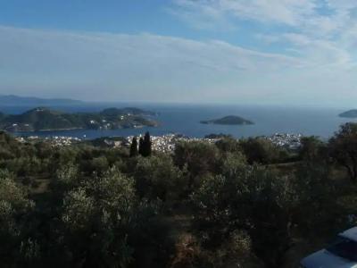 Entechnos Living - 18