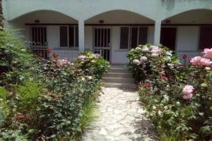 Margarita Apartments, Preveza