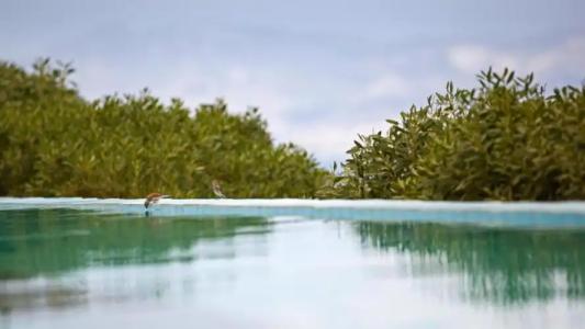 Calme Boutique - Adults Only - 41