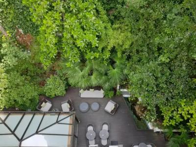 Garden-Elysée - 19
