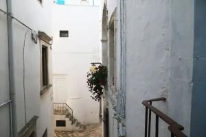 Accogliente Dimora, Putignano