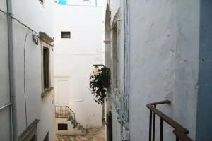 Accogliente Dimora, Putignano