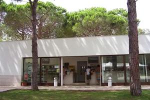 Spinnaker, Oristano