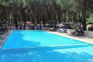 Spinnaker, Oristano