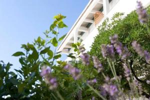 Baby Gigli Hotel, Numana