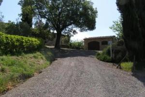 Agriturismo Collesassi, Montalcino