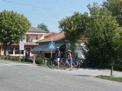 Picobello Pineta - 17