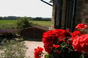 Il Casale della Quercia, Assisi