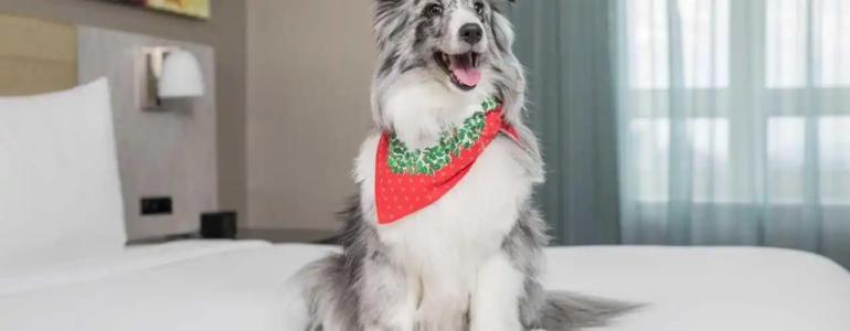 Doubletree By Hilton New York Times Square West - 26