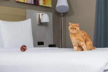 Doubletree By Hilton New York Times Square West - 17