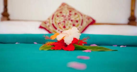 Flame Tree Cottages - 39