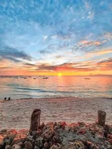 Flame Tree Cottages - 44