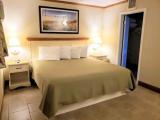 Basement Suite