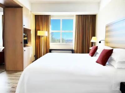 Sheraton Rome Parco de Medici - 2