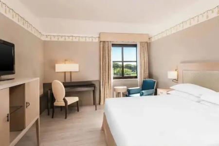 Sheraton Rome Parco de Medici - 146
