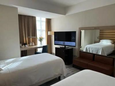 Sheraton Rome Parco de Medici - 19