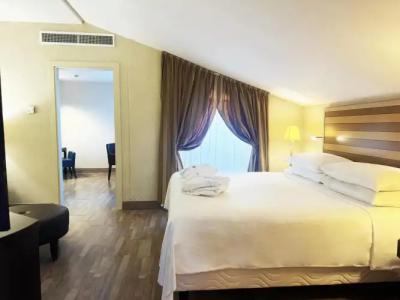 Sheraton Rome Parco de Medici - 3