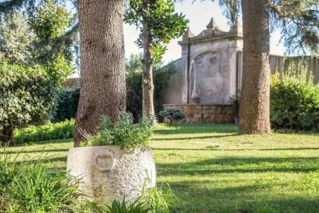 Occidental Aurelia - 21