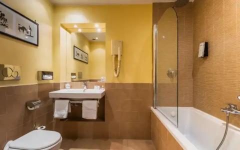 FH55 Grand Palatino - 58