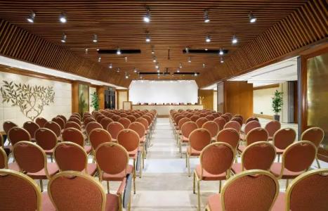 FH55 Grand Palatino - 27