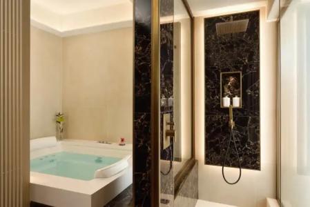 FH55 Grand Palatino - 92