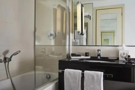 FH55 Grand Palatino - 20