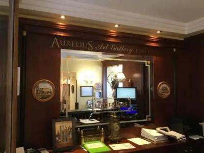 Aurelius Art Gallery - 19