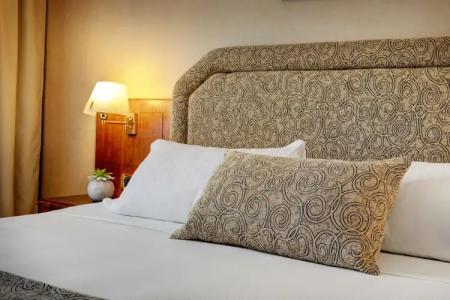 iHs Roma Cicerone - 8