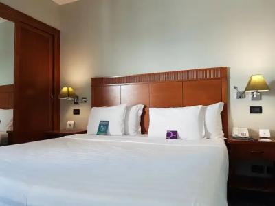 Mercure Leonardo da Vinci Rome Airport - 15