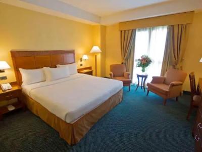 Mercure Leonardo da Vinci Rome Airport - 3