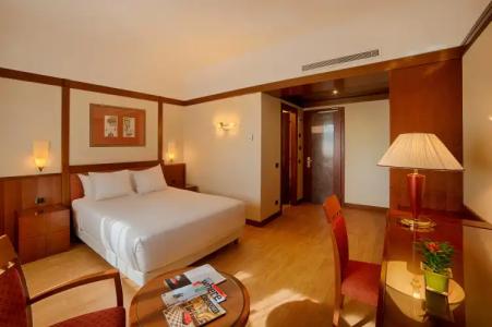 NH Roma Villa Carpegna - 4