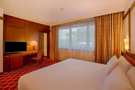 NH Roma Villa Carpegna - 5