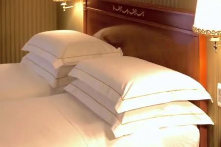 Manfredi Suite In Rome - 120