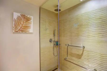 Royalton Punta Cana, An Autograph Collection All-Inclusive Resort & Casino - 9