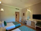 Standard Double room with garden view