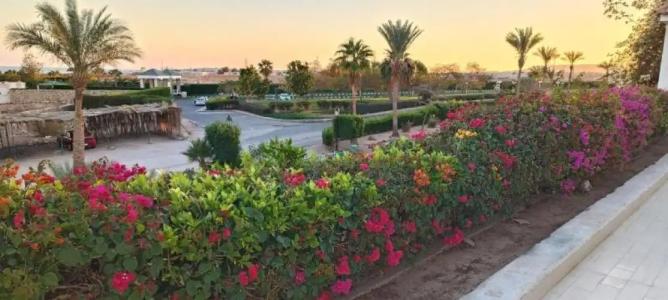 Eden Rock Namaa Bay - 123